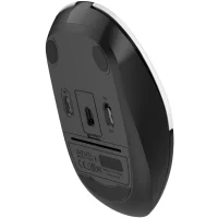 Мышь A4Tech Fstyler FB12S (белый/черный) фото 8